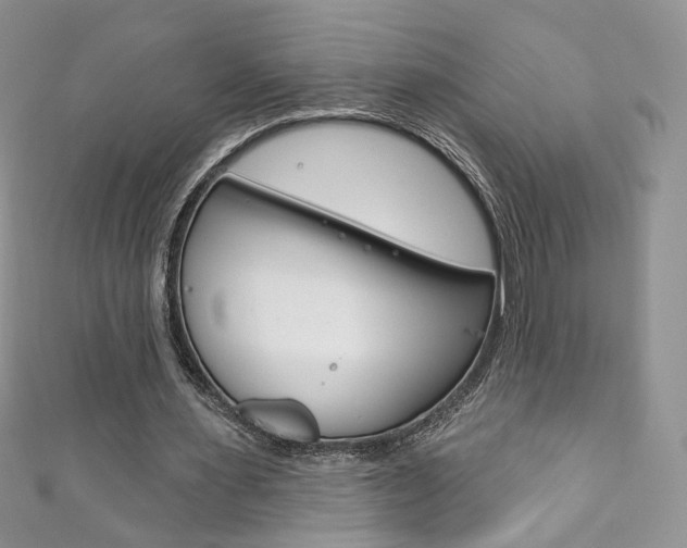 X0000111160483200906301101