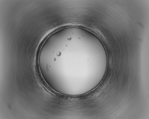 X0000111160484200906301101