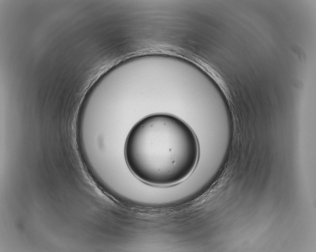 X0000111160485200906301101