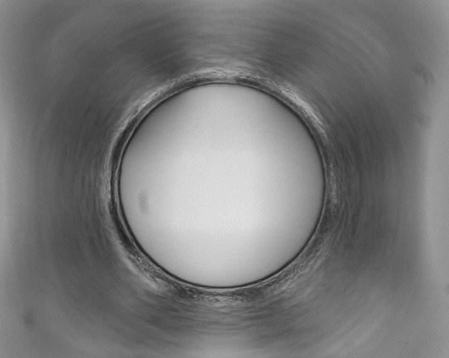 X0000111160486200906301101