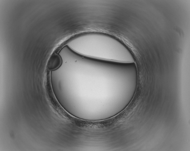 X0000111160488200906301101
