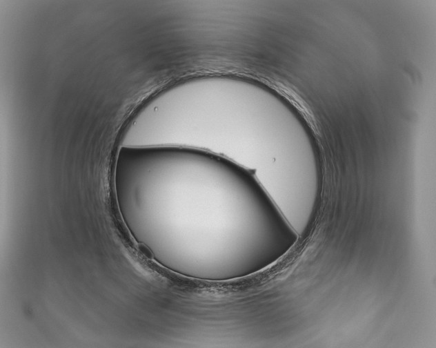 X0000111160489200906301101