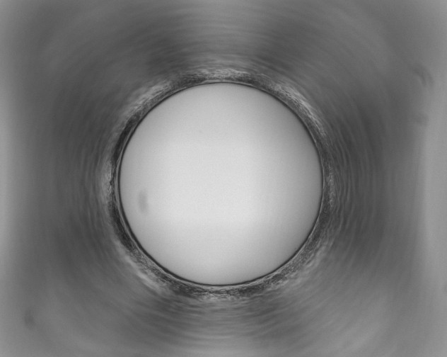 X0000111160490200906301101