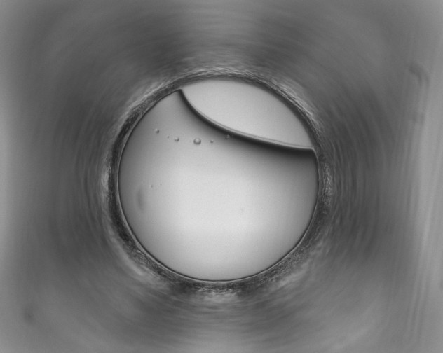 X0000111160491200906301101