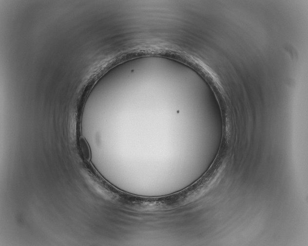 X0000111160493200906301101