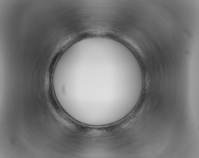 X0000111160494200906301101