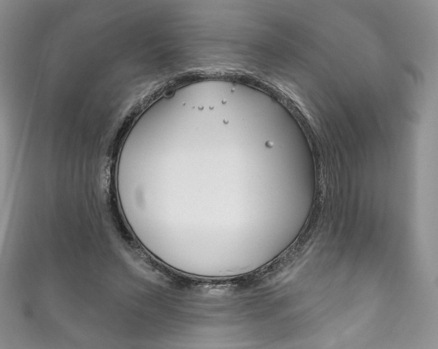 X0000111160495200906301101