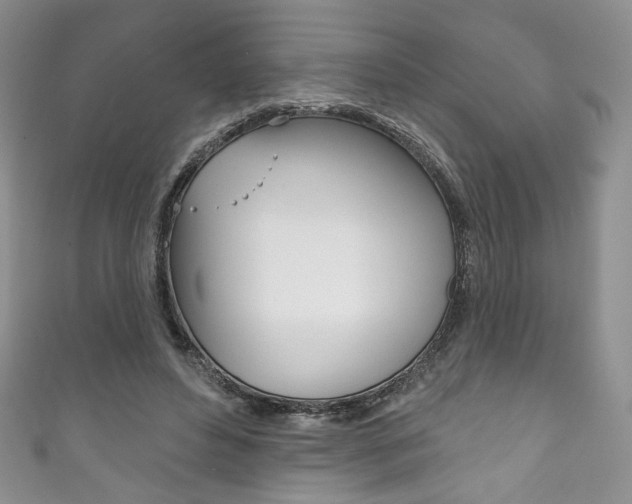 X0000111160496200906301101