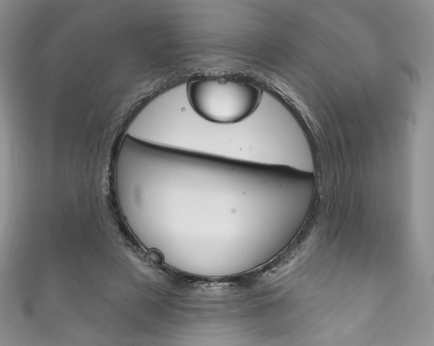 X0000111160497200906301101