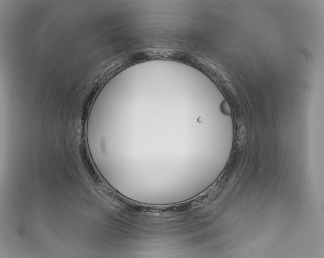 X0000111160498200906301101