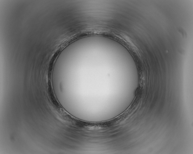 X0000111160500200906301101