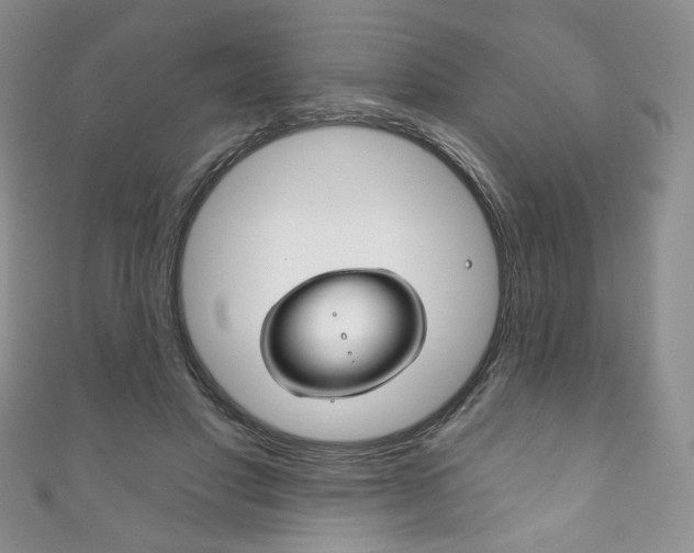 X0000111160501200906301101