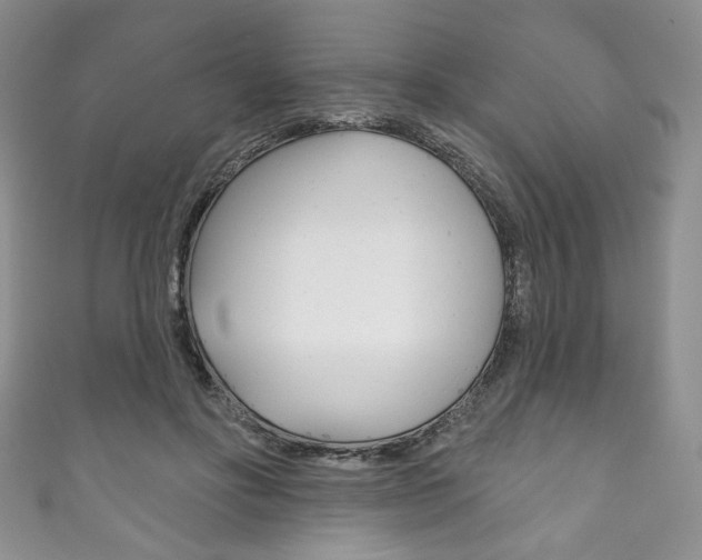 X0000111160502200906301101