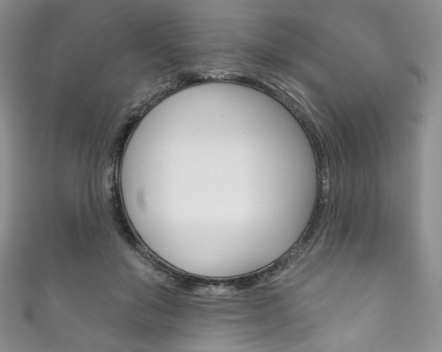 X0000111160503200906301101