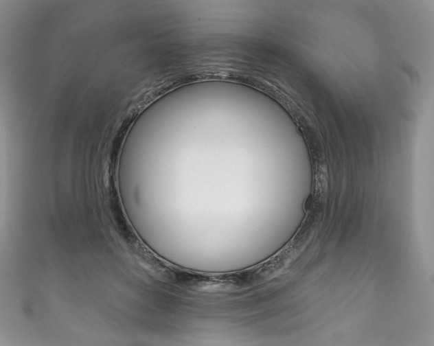 X0000111160504200906301101