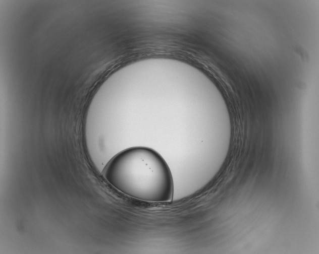X0000111160505200906301101
