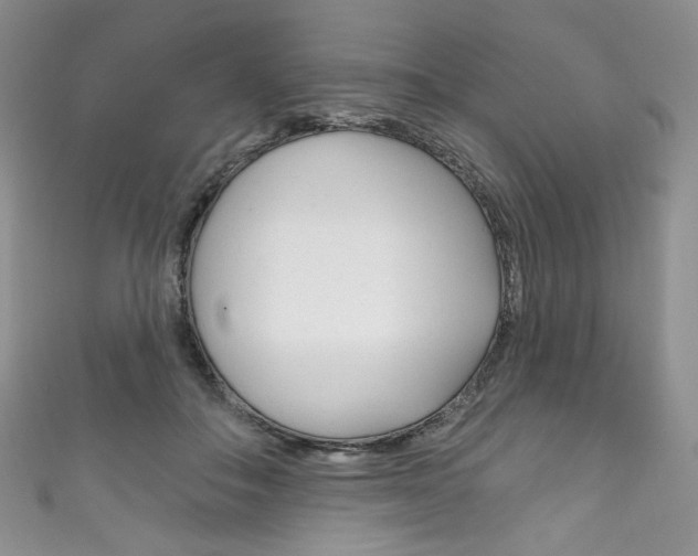 X0000111160506200906301101