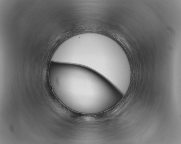 X0000111160509200906301101
