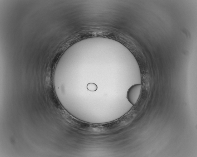 X0000111160510200906301101
