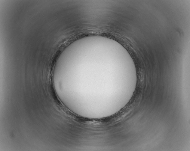 X0000111160511200906301101