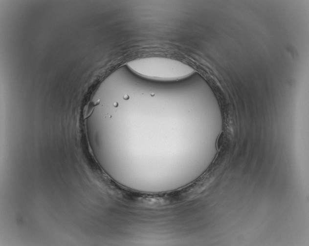 X0000111160512200906301101