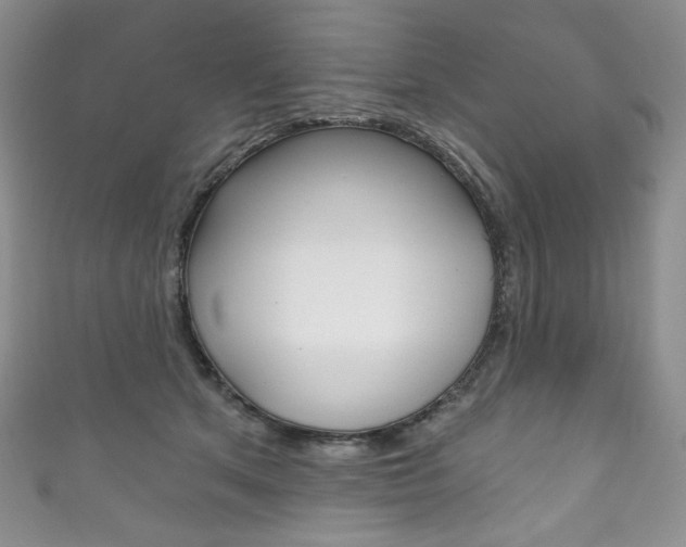 X0000111160513200906301101