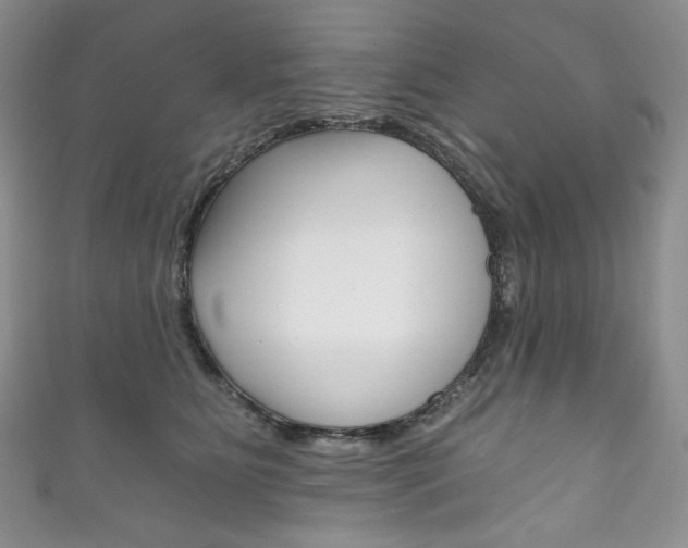 X0000111160515200906301100