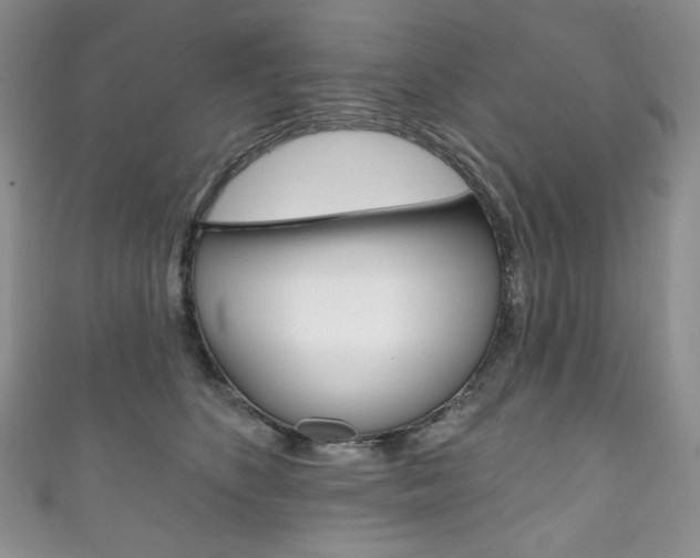 X0000111160516200906301100