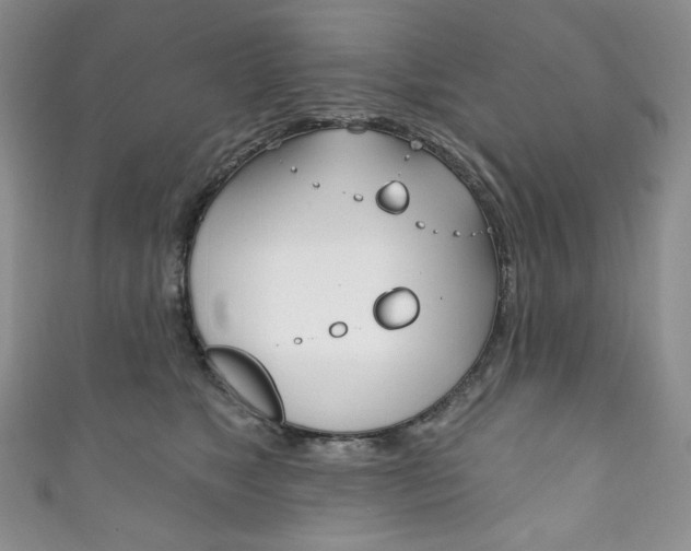 X0000111160517200906301100