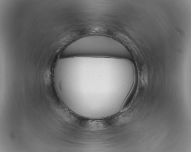 X0000111160520200906301100