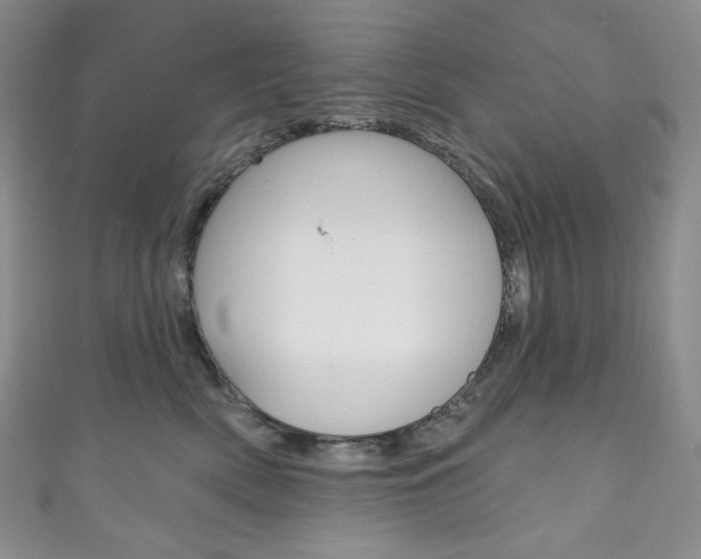 X0000111160522200906301100
