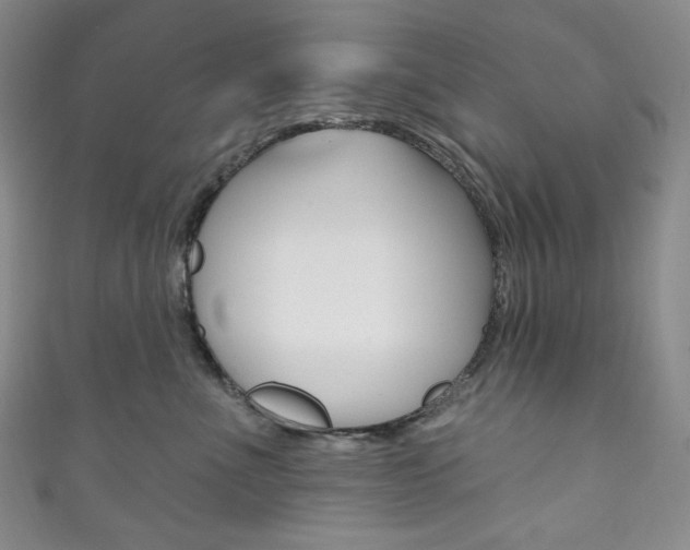 X0000111160523200906301100
