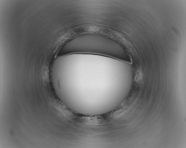 X0000111160524200906301100