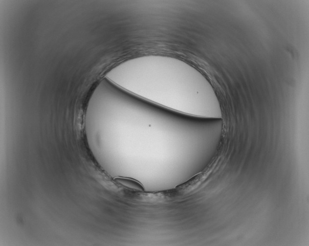 X0000111160525200906301100