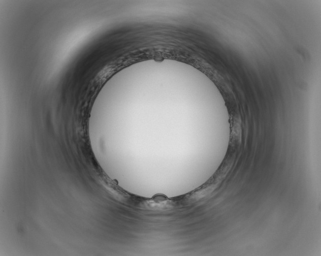 X0000111160526200906301100
