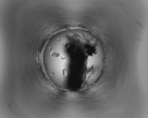 X0000111160528200906301100