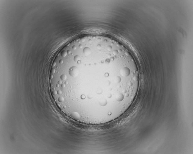 X0000111160529200906301100