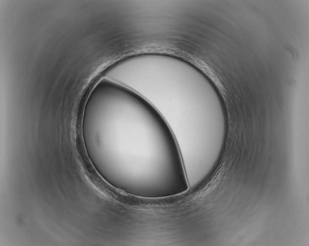 X0000111160530200906301100