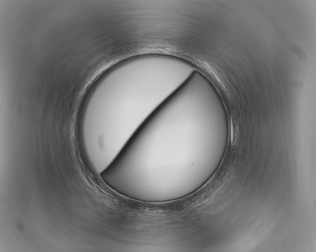 X0000111160531200906301100