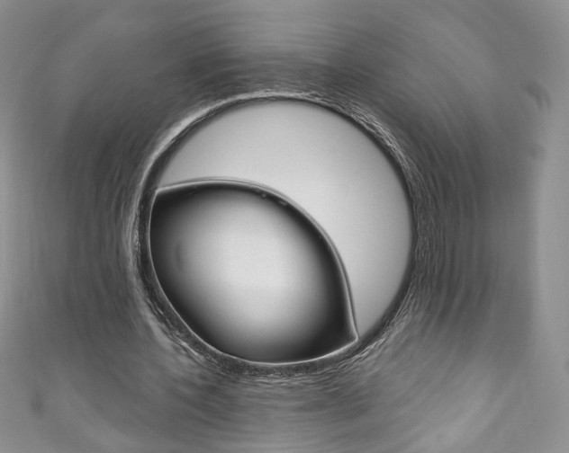 X0000111160532200906301100