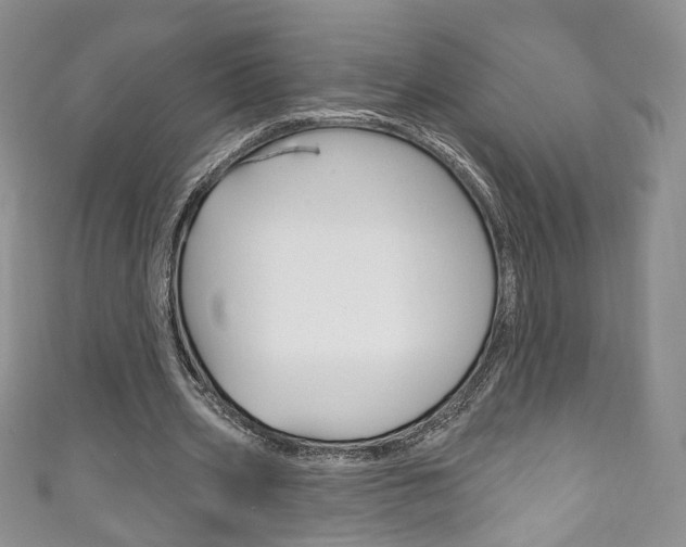 X0000111160533200906301100