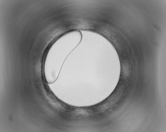 X0000111160534200906301100