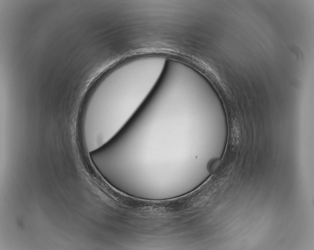 X0000111160535200906301100