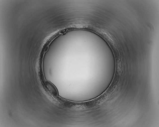 X0000111160536200906301100