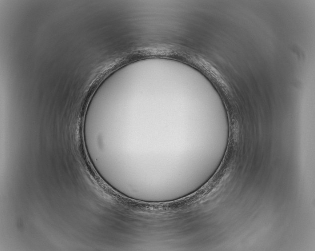 X0000111160537200906301100