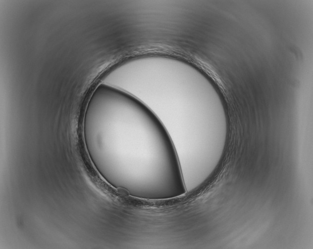 X0000111160538200906301100