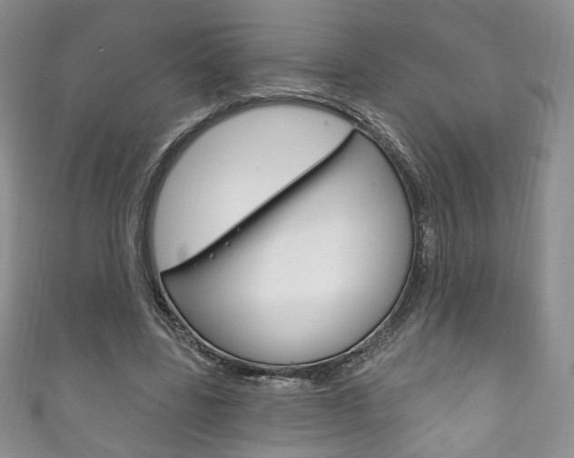 X0000111160539200906301100