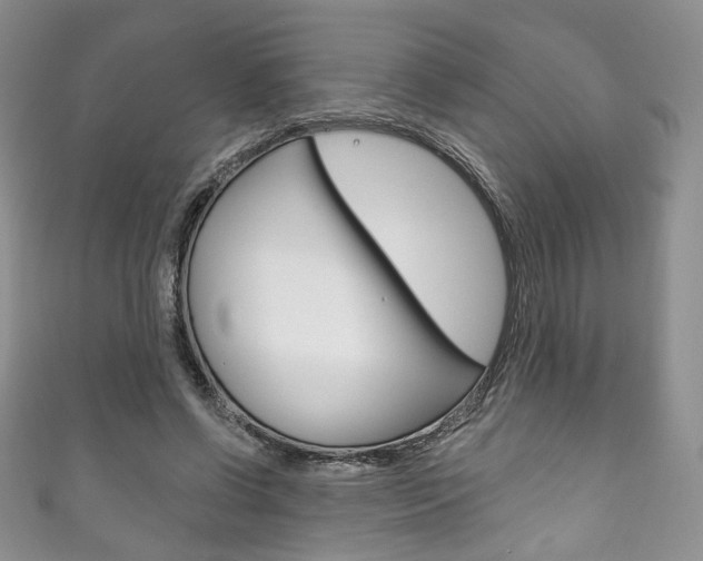 X0000111160542200906301100