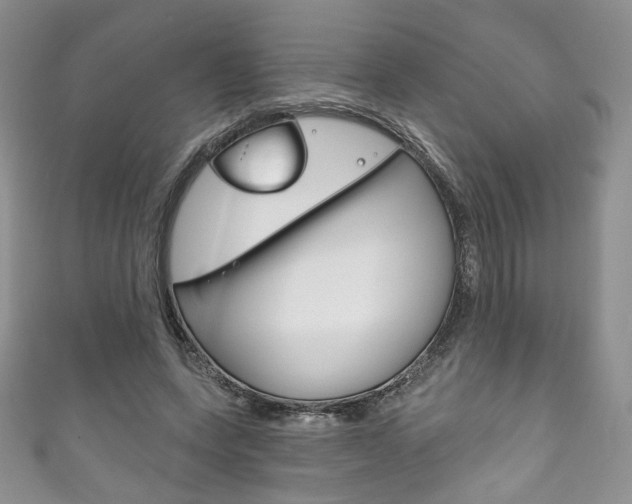 X0000111160543200906301100