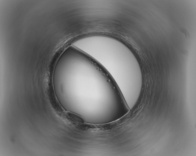 X0000111160544200906301100